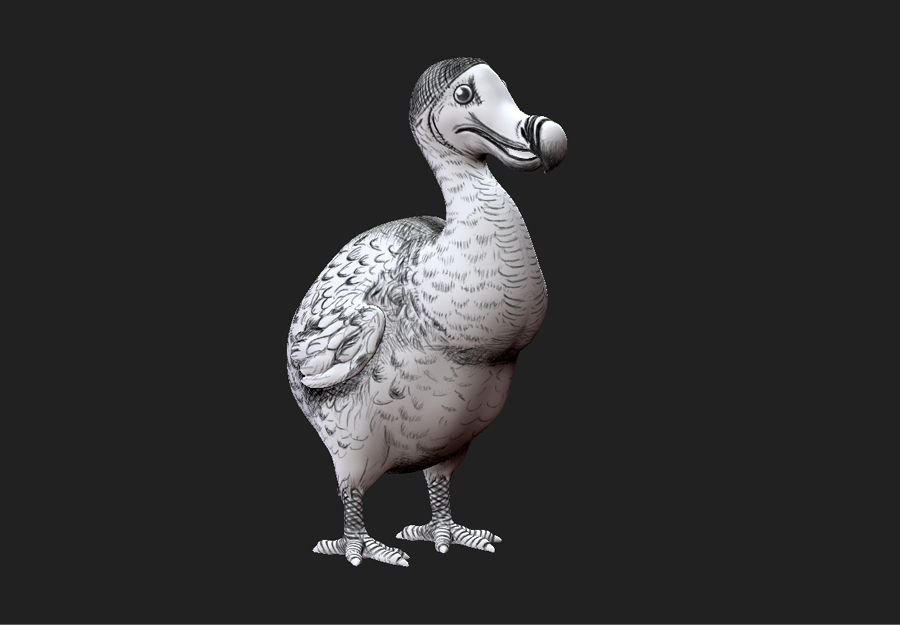 Dodo - textured